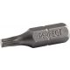 Bitfej 1/4" - bliszteres, TORX 10X25MM (2 db), STALCO PERFECT